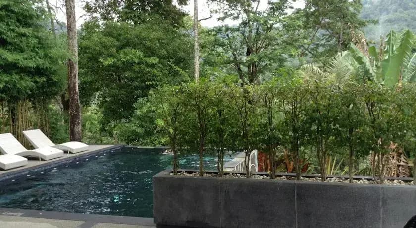 Zen Space Kamala - photo 7