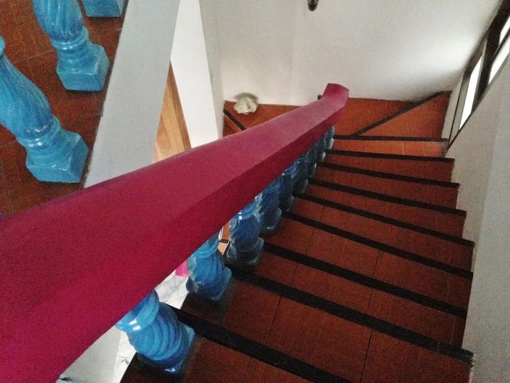 White Rabbit - Hostel - photo 5