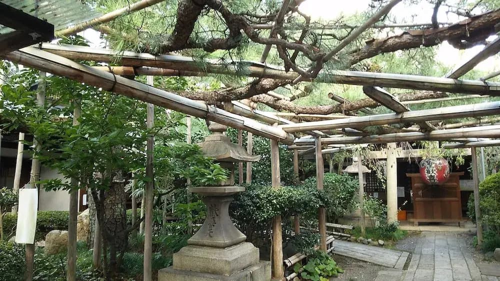 Guest house Ebisu - photo 12
