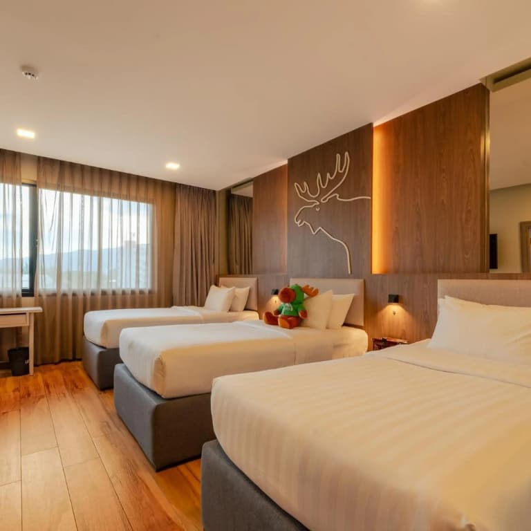 Moose Hotel Chiangmai - photo 30