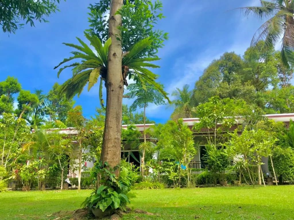 Pana Long Beach Resort - photo 13