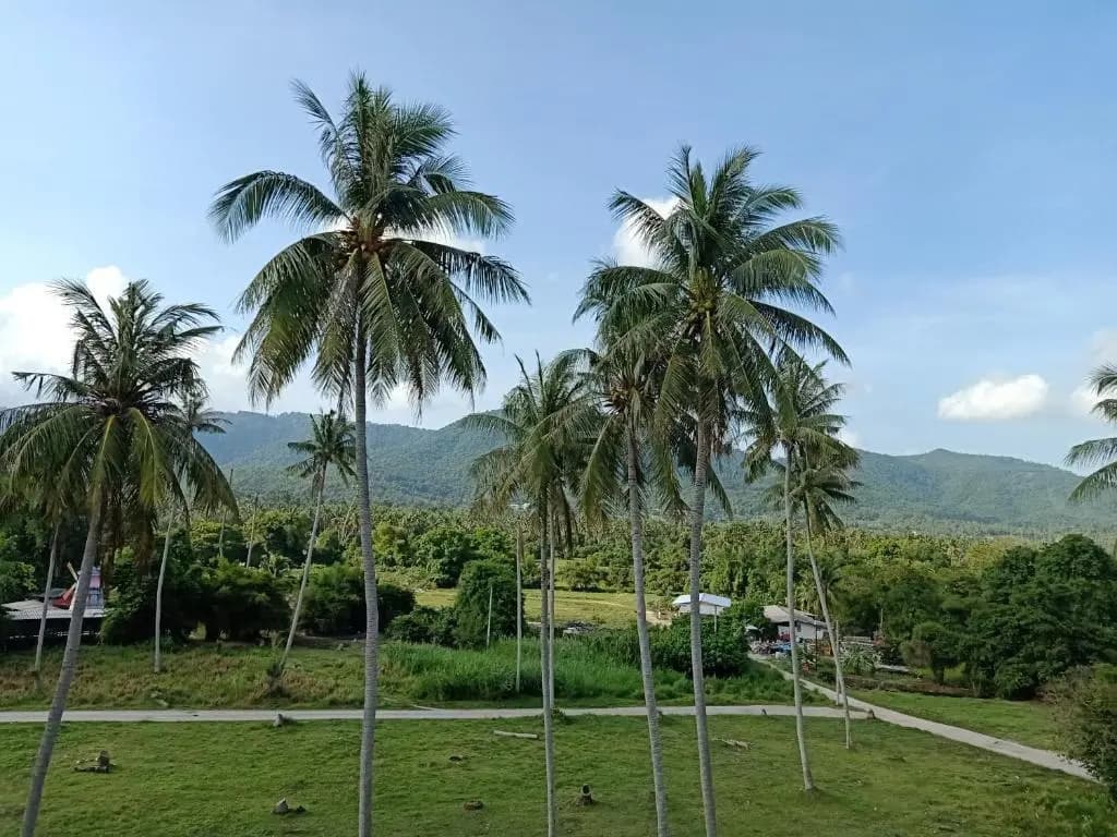 Amarin Samui Hotel - photo 38