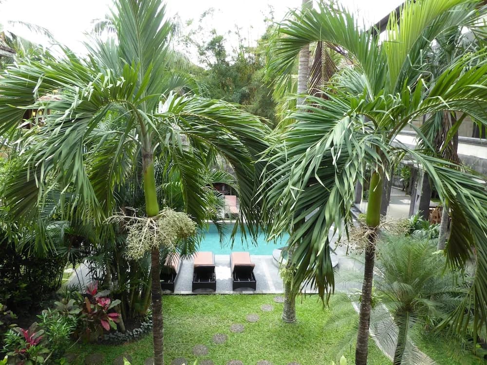 Wenara Bali Bungalow - photo 15
