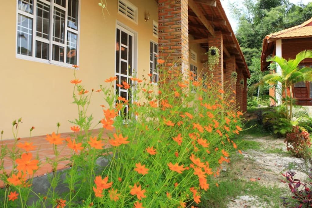 Vung Bau Resort - photo 20