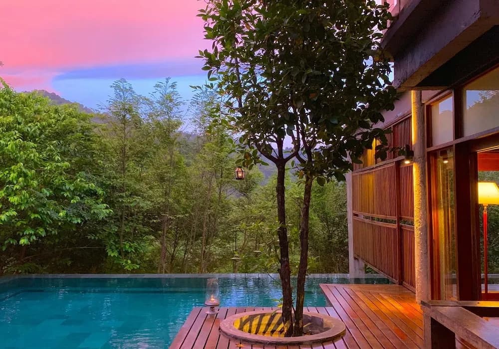 The Shorea - photo 10