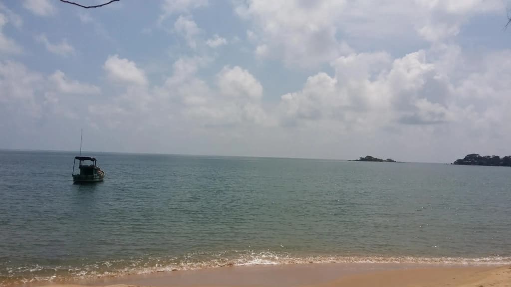 Wild Beach Phu Quoc Resort - photo 12