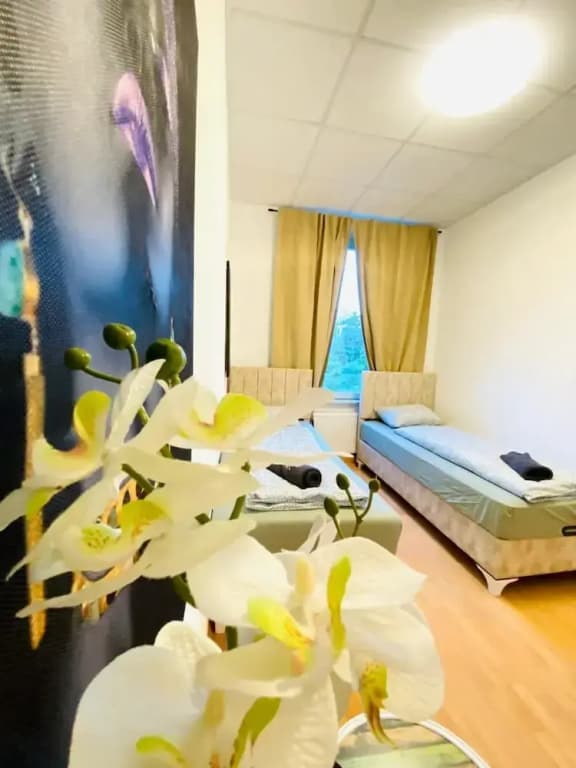 Rooms in Cozy 4BR Shared Apt Central - photo 23