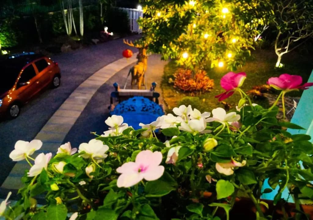 Manyi Boutique House - photo 31