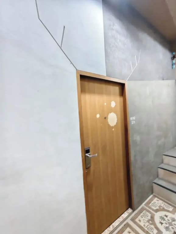 Hive28 - photo 13