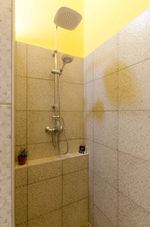 Boldo Apartment - photo 8