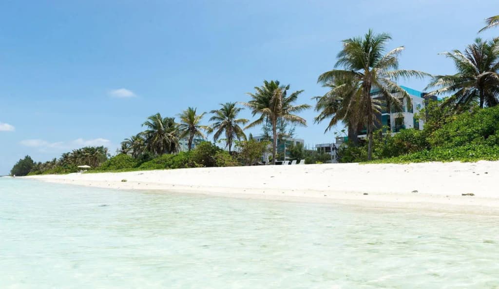H78 Maldives - photo 15