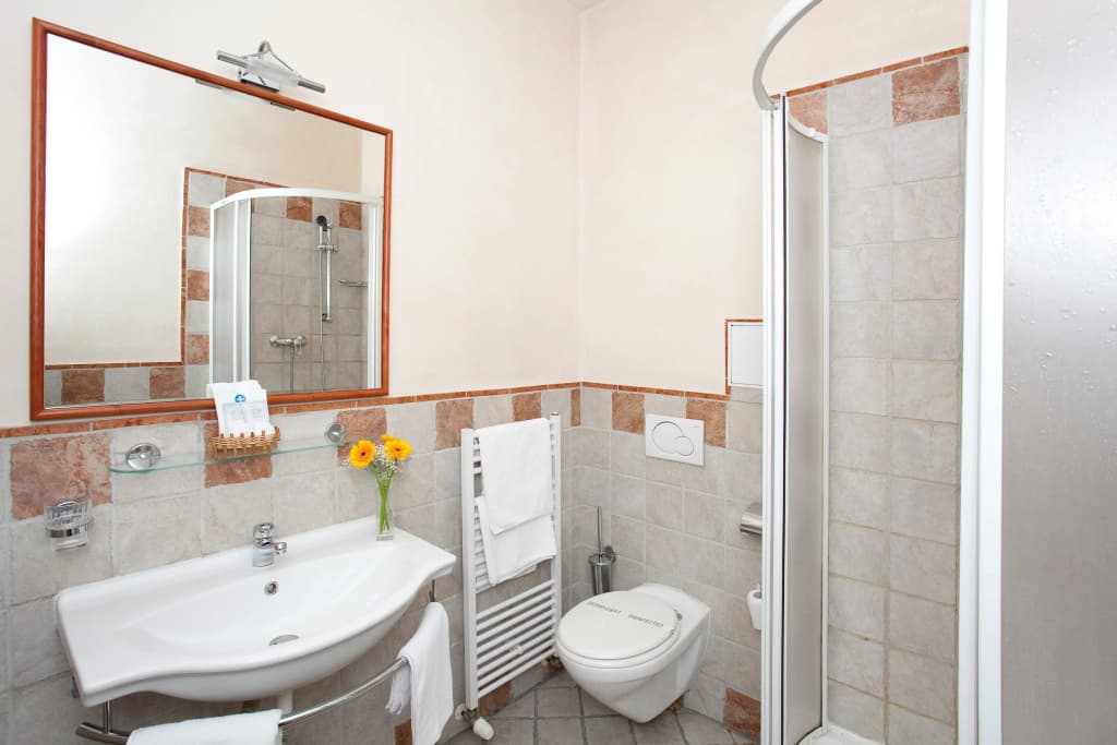 Hotel Tivoli Prague - photo 7