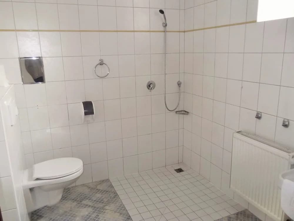 Elen's Hotel Arlington Prague - photo 9