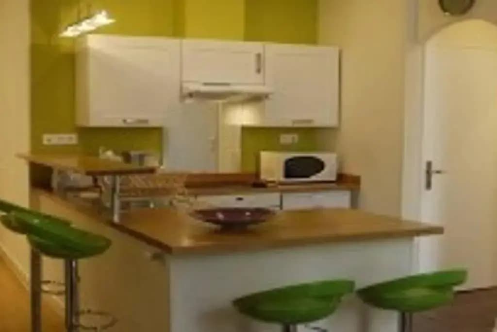 Barla 3 - a Spacious One Bedroom Apartment Near Place Garibaldi - photo 11