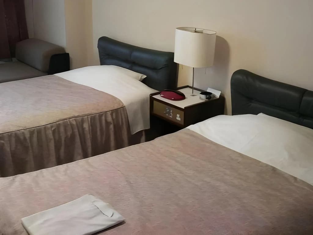 Ryogoku River Hotel - photo 6