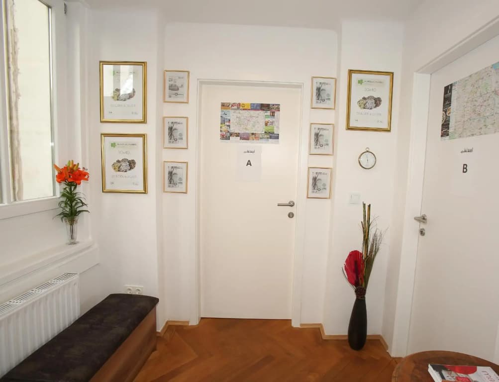 Apartments Vienna Opera - photo 17