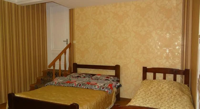 Lazika - photo 10