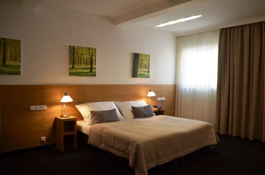 Hotel Clement - photo 7