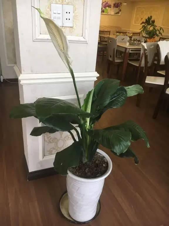 May House Hotel - photo 20