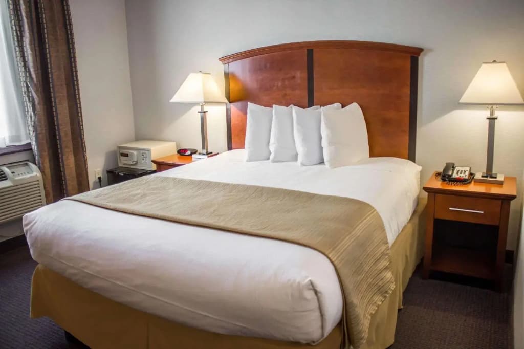 Quality Inn - photo 21