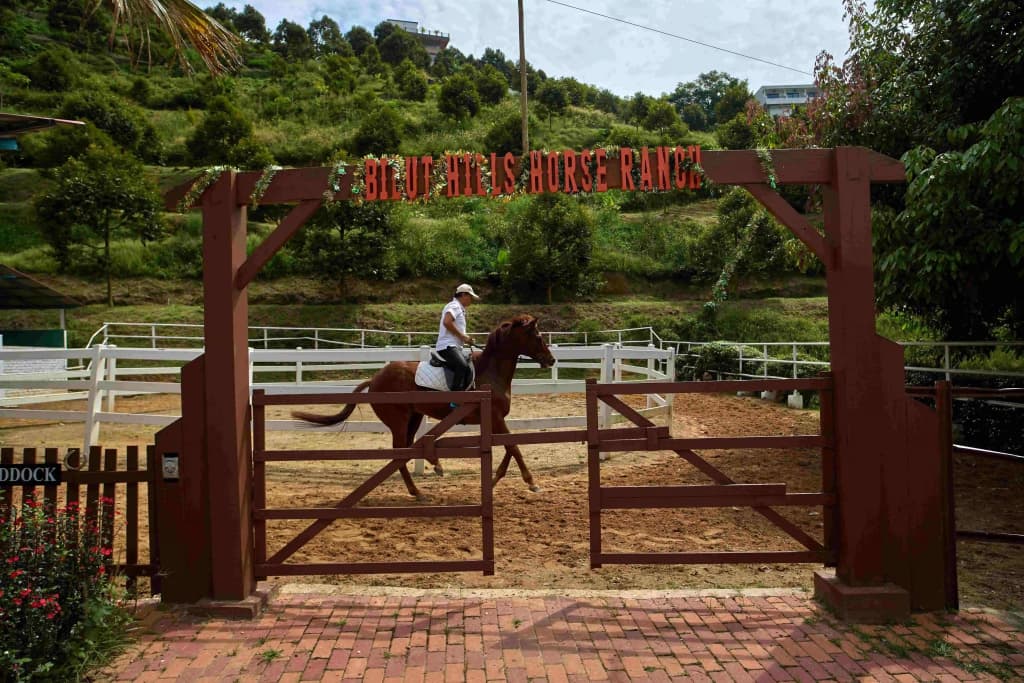 Bilut Hills Eco Resort & Eco Park - photo 5