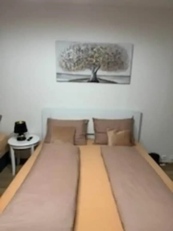 Charming Apart Near Center - photo 3