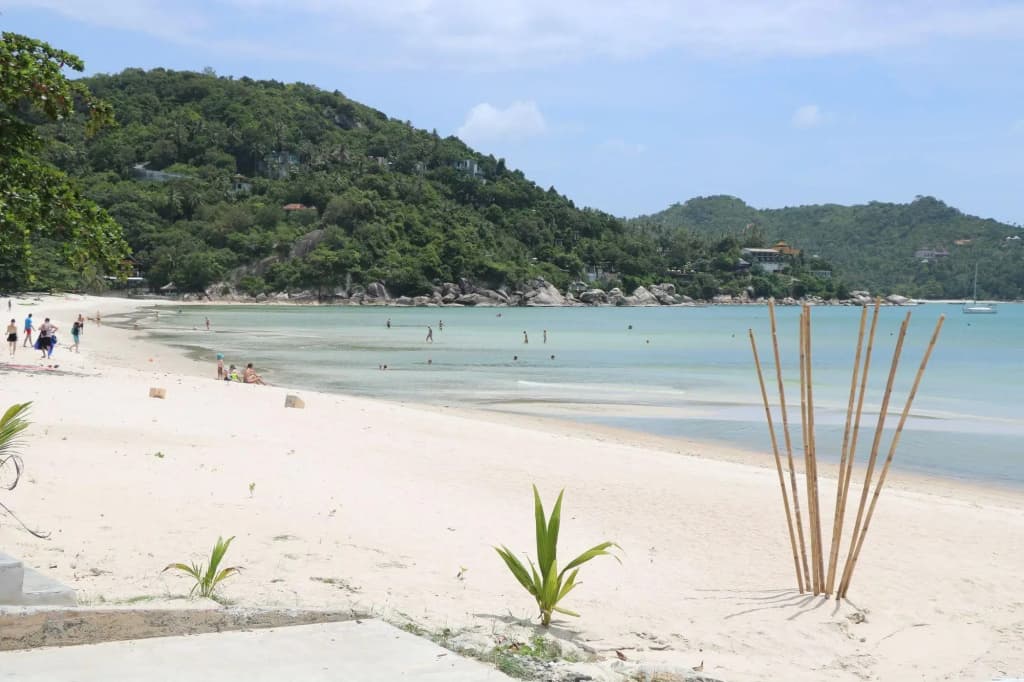 Aesthetic Resort - photo 9