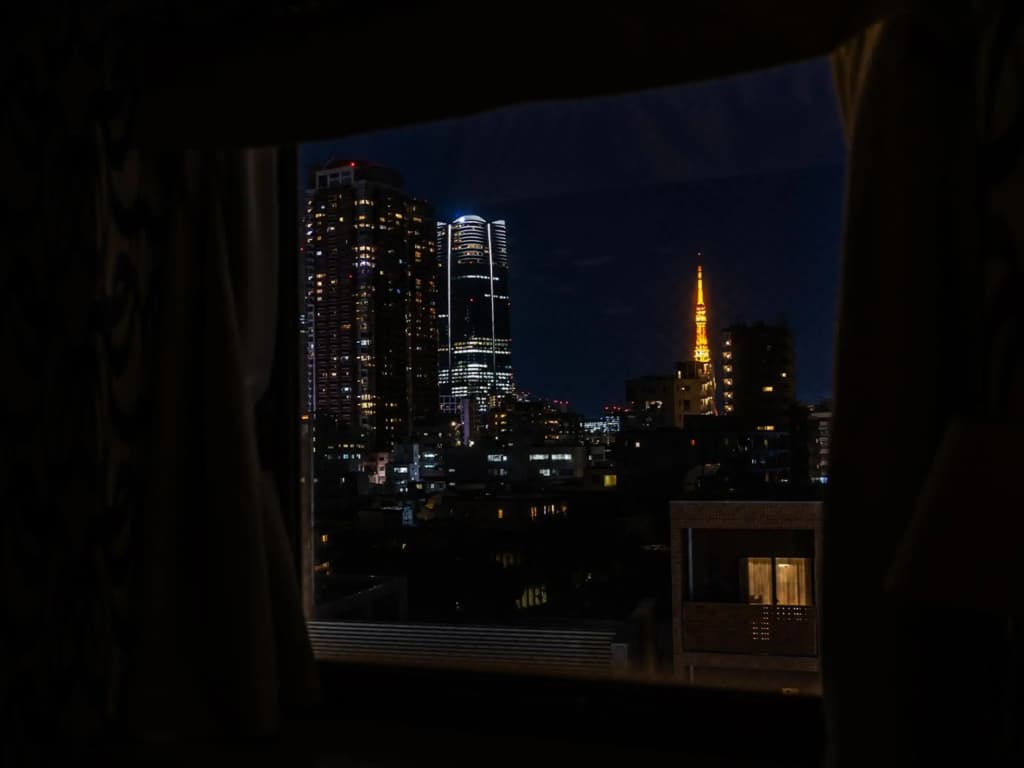 Apa Hotel Nishiazabu - photo 11