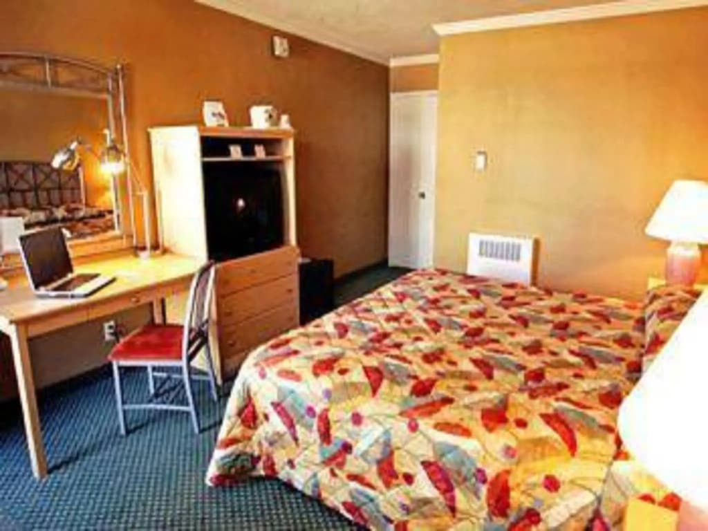 Civic Center Motor Inn - photo 3
