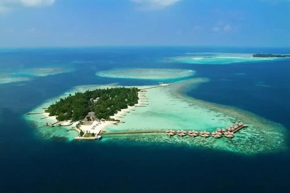 Feridhoo Inn - photo 15