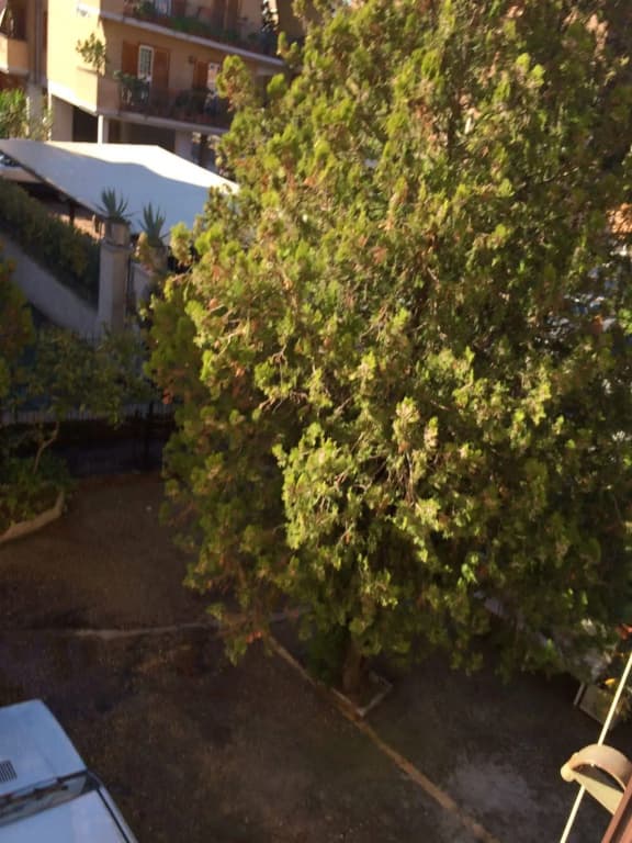 Amendola House - photo 11