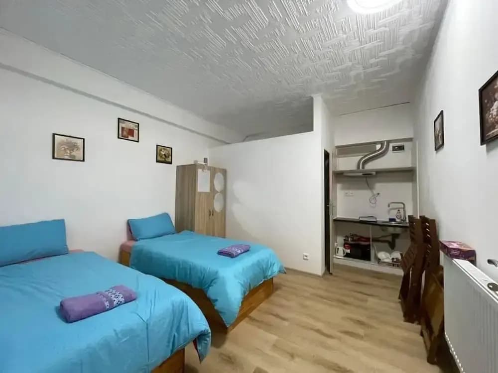 Cozy Studio in Zizkov, Prague - photo 4