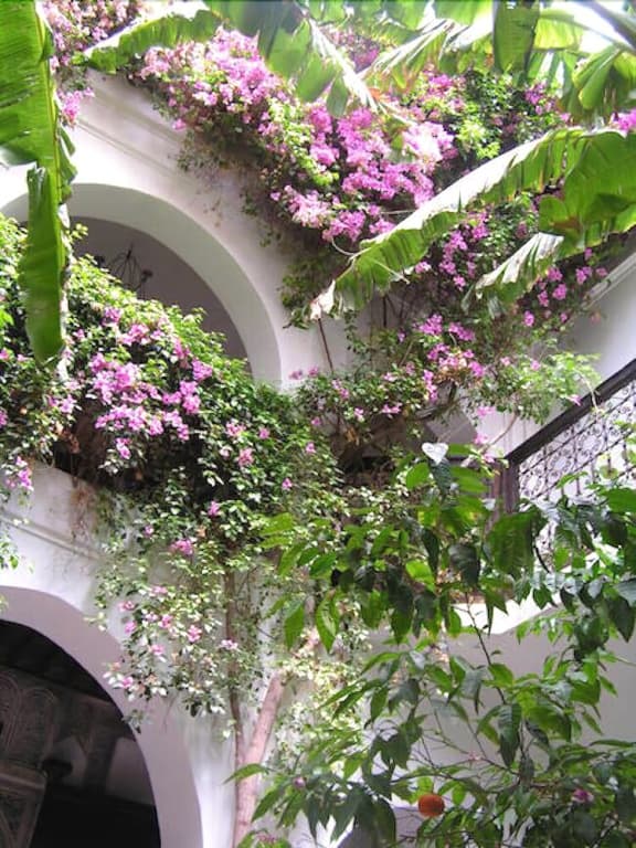 Riad Darmouassine - photo 11