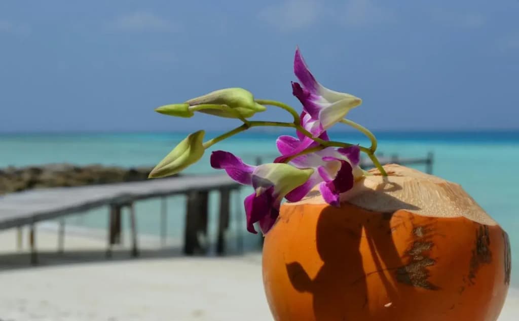 Canopus Retreat Thulusdhoo - photo 3