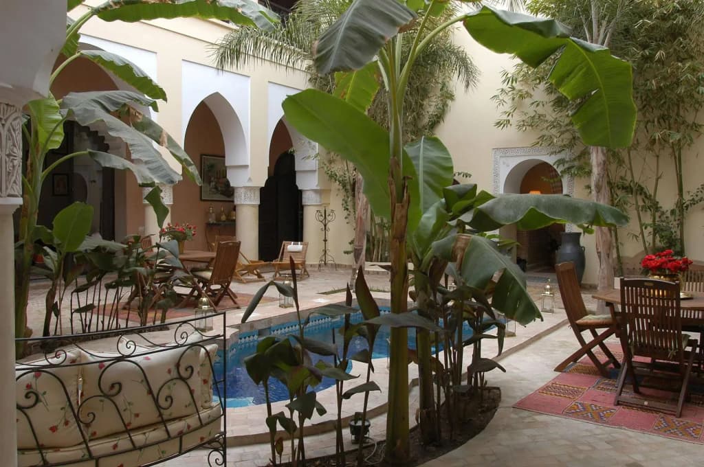 Riad Nabila - photo 17