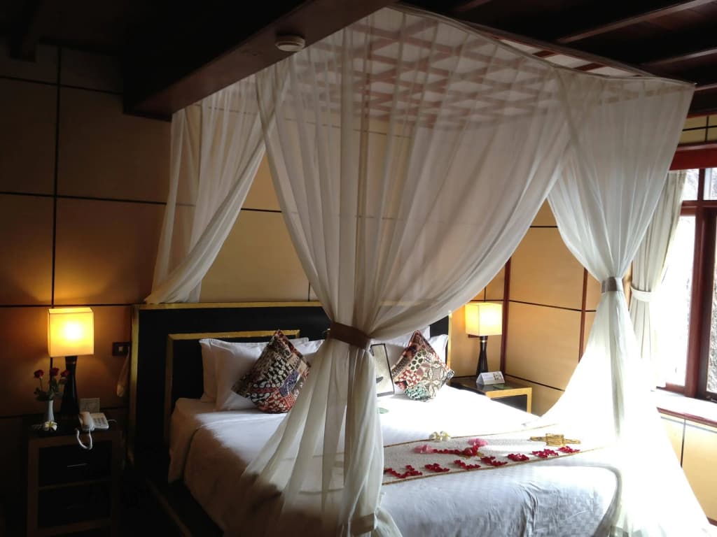 Kupu Kupu Barong Villas & Tree Spa Hotel - photo 1