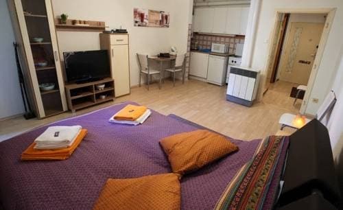 Apartment Pfeilgasse - photo 3
