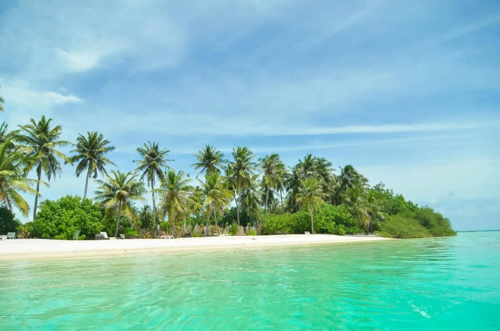 Huraa East Inn - photo 9