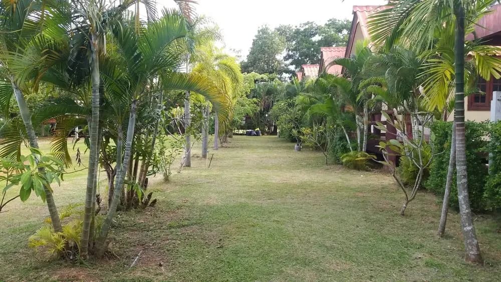 Lanta School Beach Resort - photo 23