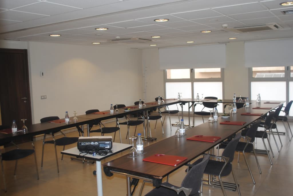 Suites Viena Plaza De Espana Hotel - photo 33