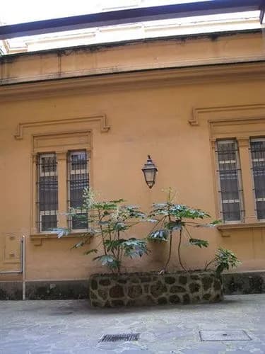 Cimini B&B Near Vatican - photo 29