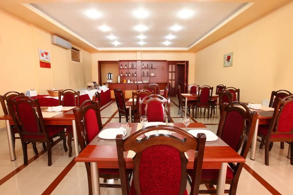 Aristocrat Hotel - photo 16