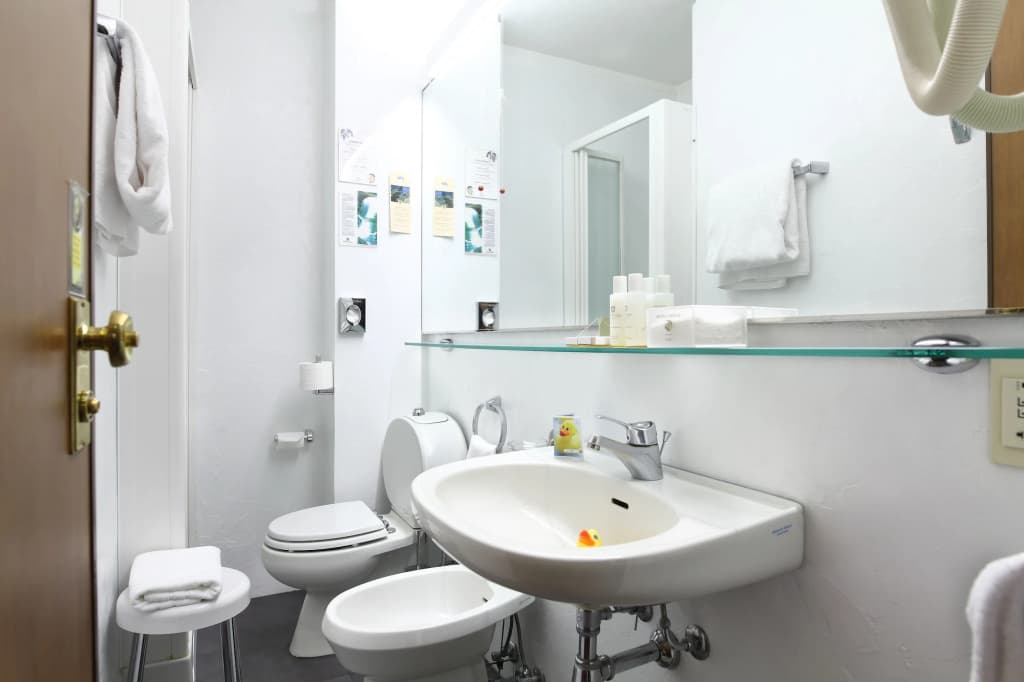 Hotel Berna - photo 7