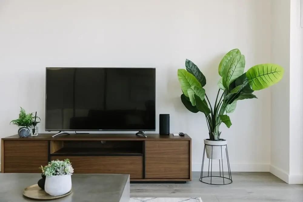 Super Spacious City View Apartments - photo 1