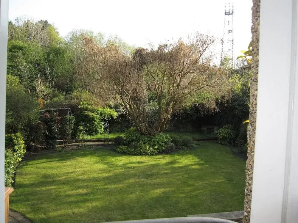 Georgian Guest House - photo 16