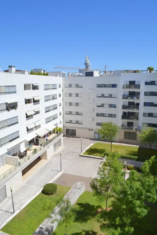 RH Oriente - photo 15