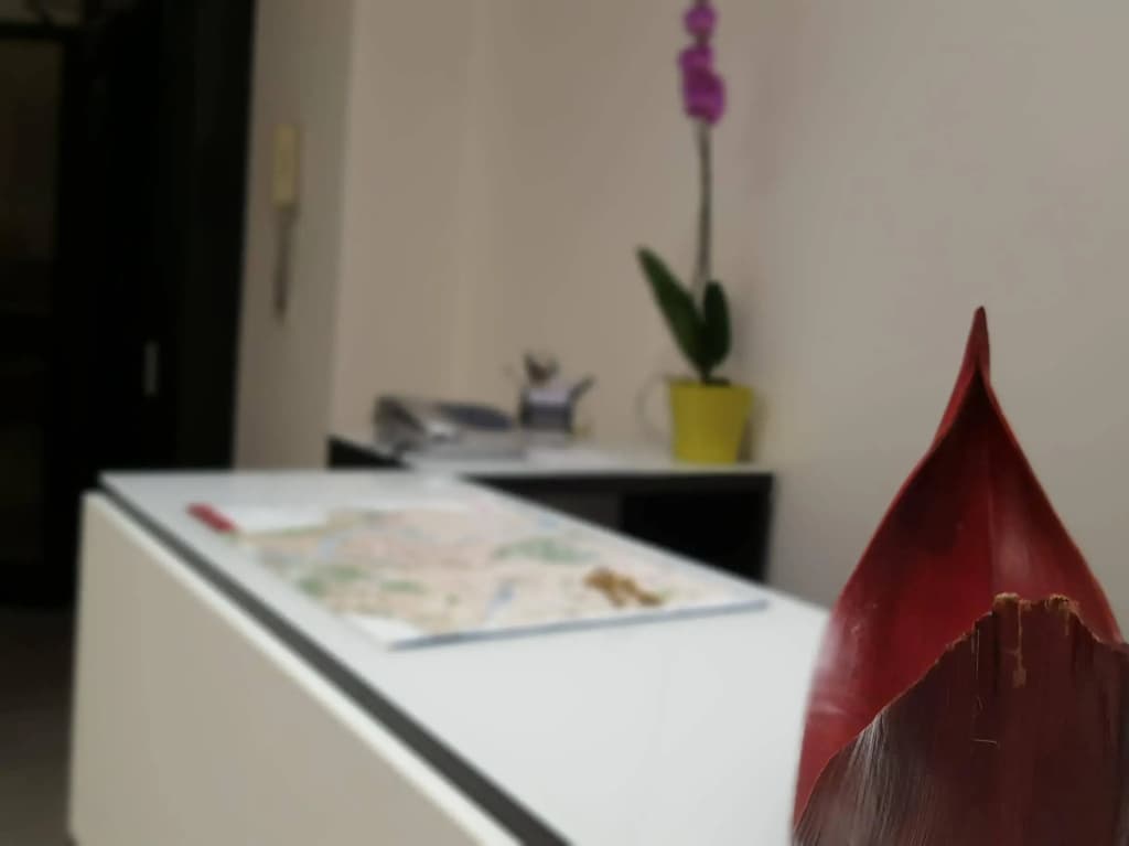 The Traveler's Home - photo 10