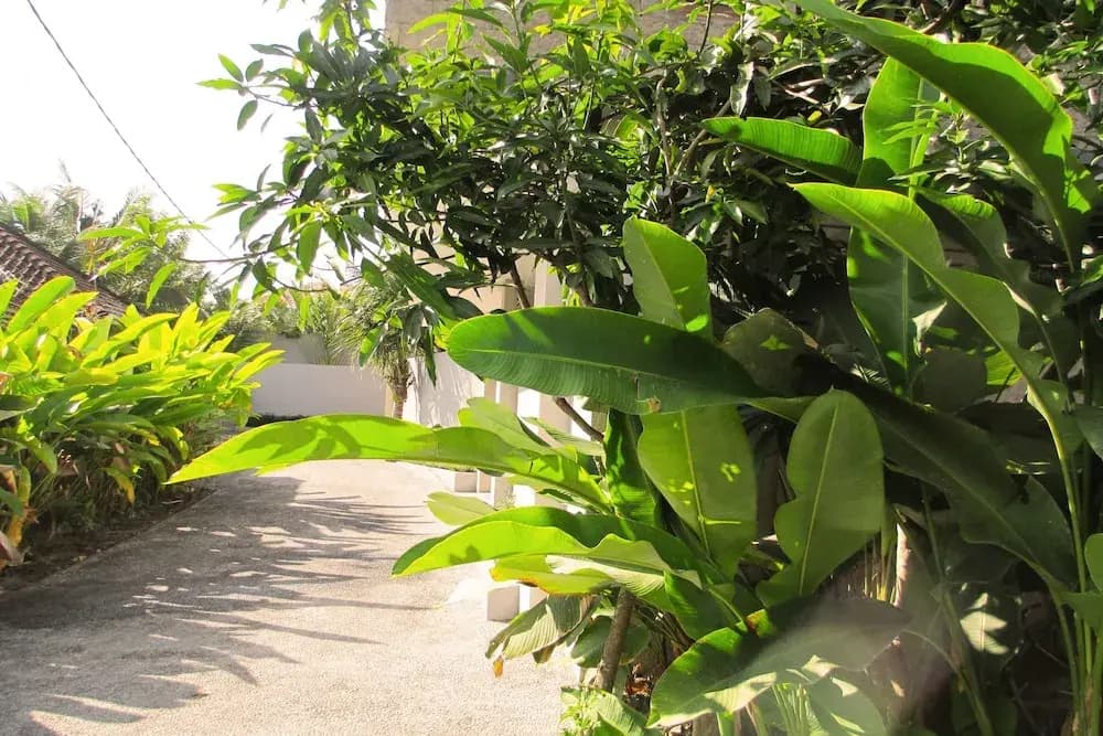 Panorama Ubud Private Villa - photo 16