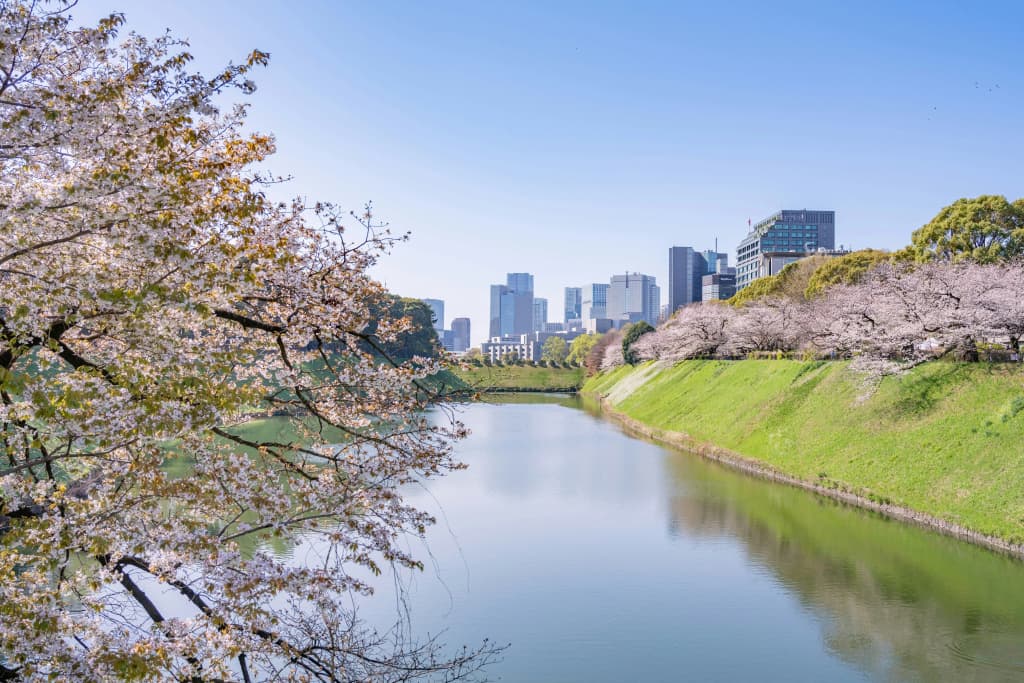 The Prince Gallery Tokyo Kioicho, a Luxury Collection Hotel - photo 39