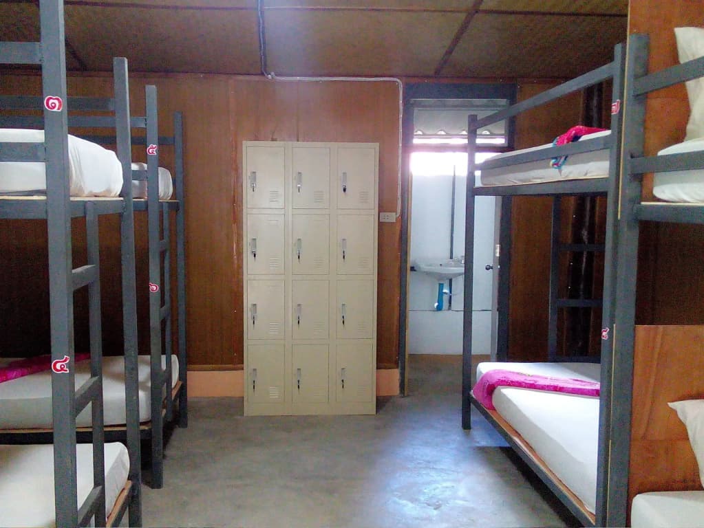 Funky Fish Hostel - photo 3